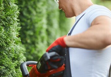 How to Safely Trim Your Trees: A Comprehensive Guide