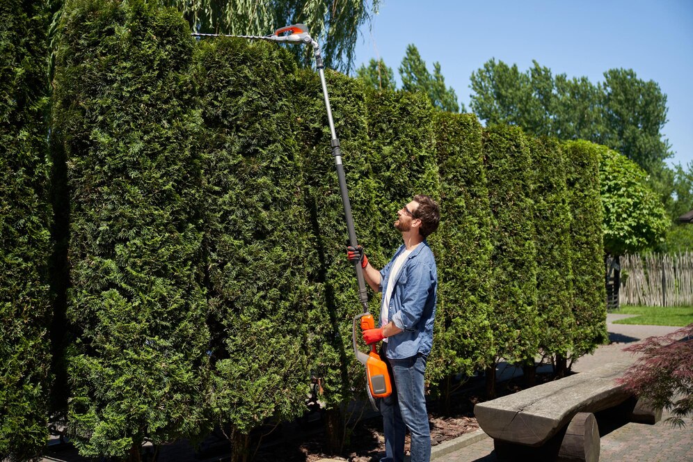 Expert Hedge Trimming Services in Vancouver