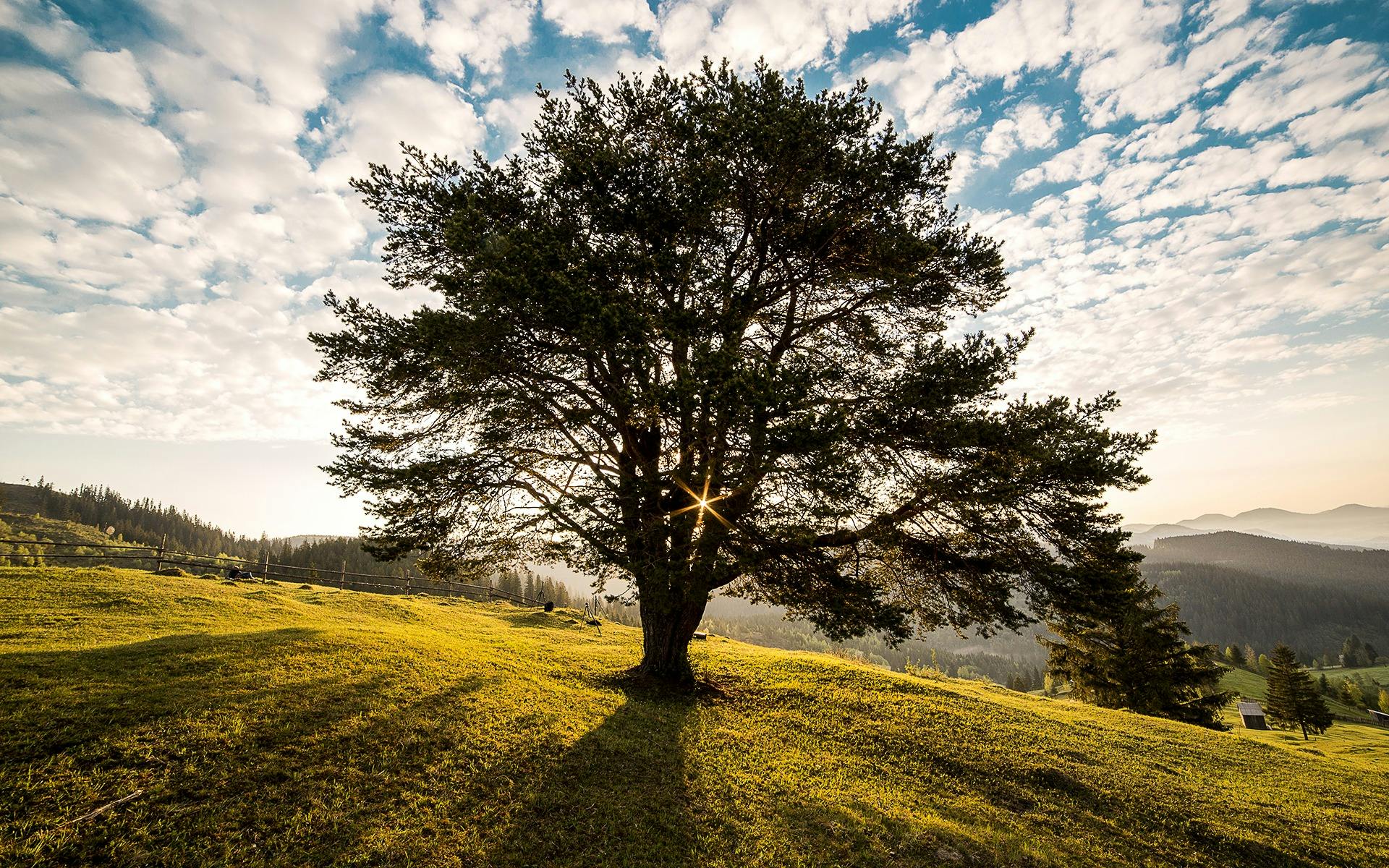 Enhance Your Outdoors with Expert