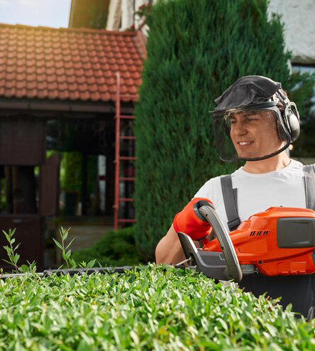 Tony’s Tree Service