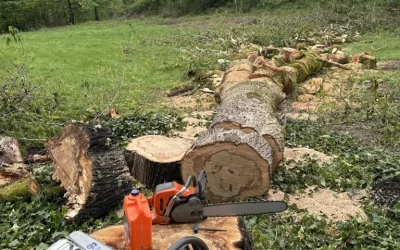 24/7 Emergency Tree Removal and Cutting Services in Vancouver, WA