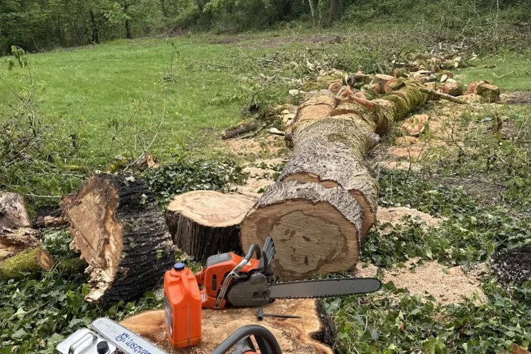 24/7 Emergency Tree Removal and Cutting Services in Vancouver, WA