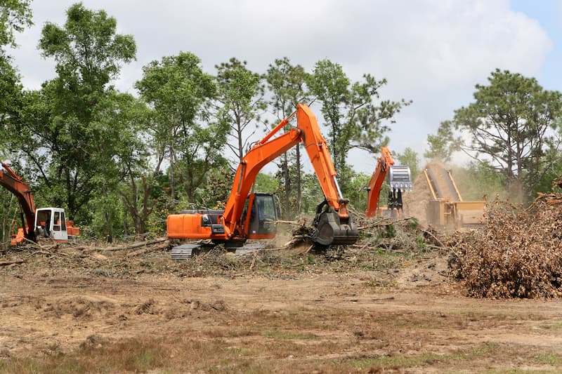Expert Land Clearing Services: Your Guide to a Smooth Start