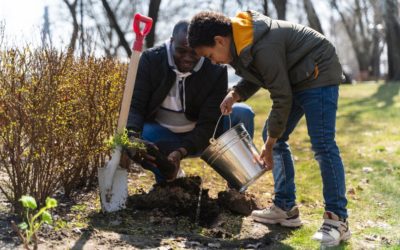 Storm Cleanup Checklist for Vancouver Homeowners: When to Call the Experts