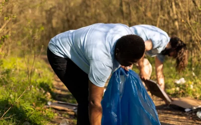 Top-Notch Land Clearing Services: A Guide to Finding the Best