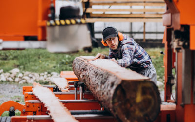 Fast Tree Removal Services: What to Expect and Why It Matters